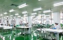 Hải Dương: Thưởng tết cao nhất 950 triệu thuộc về nhân viên doanh nghiệp nhựa