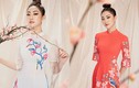 Hoa hậu Lương Thùy Linh diện áo dài “nịnh dáng”, xuân sắc rạng ngời