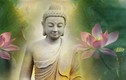 Phật dạy: Điều thất đức nhất trên đời tuyệt đối không được phạm