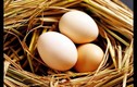 Điều gì xảy ra nếu ăn 3 quả trứng mỗi ngày?