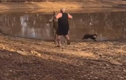 Video: Chàng trai đánh nhau với chuột túi để bảo vệ chó cưng