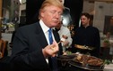 Ngạc nhiên với những món ăn yêu thích của Tổng thống Donald Trump 