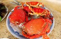 Những món hải sản tươi ngon "quên lối về" của đảo Lý Sơn