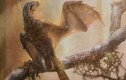 Trung Quốc phát hiện loài khủng long biết bay mới