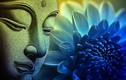 4 lời đúc kết Phật để lại, ai biết được cuộc sống tất viên mãn 