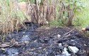 Đắk Nông: Công ty TNHH Hồng Đức xả nước thải đen ngòm ra môi trường