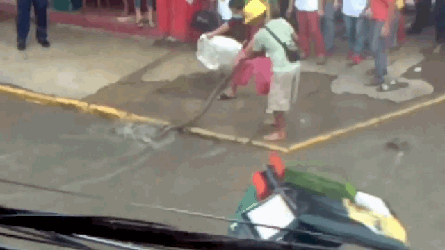 Video: Trăn dài 3 mét xuất hiện trên đường phố Philippines