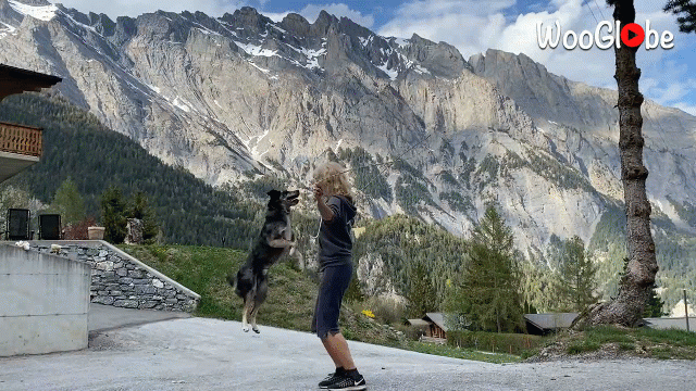 Video: Chó nhà “trổ tài” nhảy dây cùng cô chủ