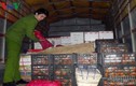 Quảng Ninh: Bắt giữ hơn 600kg hoa quả nhập lậu từ Trung Quốc 