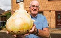 Đào được củ hành tây “khủng” hơn 4 kg, đủ 30 người ăn 