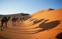 Top sự thật không tin nổi về các sa mạc trên thế giới