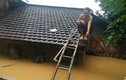 Ảnh: Người dân miền Trung leo lên mái nhà tránh lũ