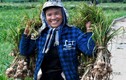 Ảnh: Mùa thu hoạch "vàng trắng" của nông dân đảo Lý Sơn