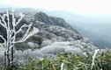 Cận cảnh đỉnh Phia Oắc, Cao Bằng chìm trong băng tuyết