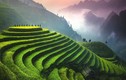 Ruộng bậc thang Việt Nam lọt Top điểm nên đến một lần trong đời 