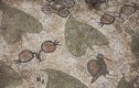 Cận cảnh cổ vật trong nhà thờ cổ 1.500 tuổi vừa phát hiện ở Israel