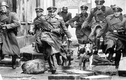 Tiết lộ sốc lực lượng cảnh sát bí mật của Đức quốc xã 
