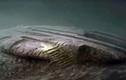 Giật mình bằng chứng về UFO dưới đáy biển Baltic