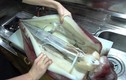 Video: Đầu bếp sơ chế mực khổng lồ nặng 12 kg