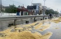 Nông dân Hải Hậu “khóc ròng” vì  thóc lúa phơi ngoài đường ngập ngụa trong mưa
