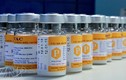 Tận mục quá trình sản xuất vắc xin sởi tại Việt Nam