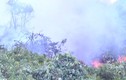 Cháy lớn ở rừng đặc dụng Nam Hải Vân