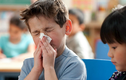 Australia: Hàng trăm người tử vong vì dịch cúm