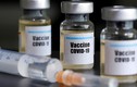 Việt Nam dự kiến thử nghiệm vắc xin COVID-19 trên người trong tháng 11