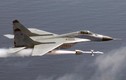 Không quân Syria có “sát thủ diệt chim sắt” nào?