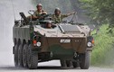Đoán loạt xe thiết giáp Nhật Bản muốn bán cho Việt Nam