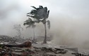 Không được chủ quan trước bão số 12 và ATNĐ hướng vào Nam Bộ