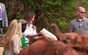 Video: Đệ nhất phu nhân Mỹ Melania Trump bị voi con húc vào người