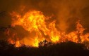 Video: Rùng mình cảnh ô tô lao qua khu rừng cháy ngùn ngụt