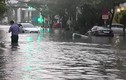 Mưa khủng khiếp nhiều tiếng, Đà Nẵng ngập lụt chưa từng thấy