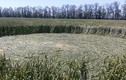 Tò mò vòng tròn bí ẩn trên cánh đồng ở Nga