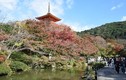Ngắm ngôi chùa nổi tiếng nhất tại cố đô Kyoto