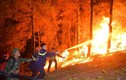 Thủ tướng ra công điện khẩn xử lý nạn cháy rừng đang hoành hành
