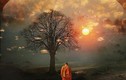 Phật dạy: Kiêu căng mất phước