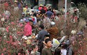 Người Hà Nội chen nhau nghẹt thở ở chợ hoa ngày 29 Tết