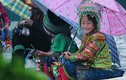 Xót xa cảnh trẻ em đội mưa lạnh kiếm tiền ở Sa Pa