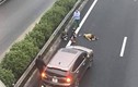 Người đàn ông bị đâm chết khi đi bộ qua cao tốc Pháp Vân