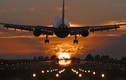 Vietravel Airlines xin cấp phép khi “người anh em” không được cấp visa... vẫn bán tour Nhật?