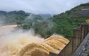 Soi hồ sơ Cty Điện Cửu Long thuê đất xây nhà máy thủy điện Đắk Di 2