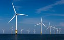 Soi hồ sơ chủ đầu tư điện gió La Gàn 10 tỷ USD
