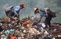 Rác thải “tràn ngập” 1/3 các thành phố Trung Quốc 