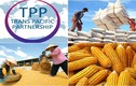Những điều ít biết về hiệp định thế kỷ TPP 