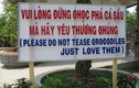 Té ghế những quảng cáo độc dị khác người ở Việt Nam