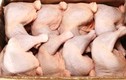 Thịt gà 2.000 đồng/kg đổ về: Truy tìm kẻ nhập khẩu bỏ trốn