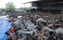 Điều đáng sợ trong nghĩa địa ô tô khổng lồ ở Bắc Giang