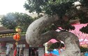 Siêu phẩm duối cổ “Thiên Long vũ hội”, trả 14 tỷ không bán